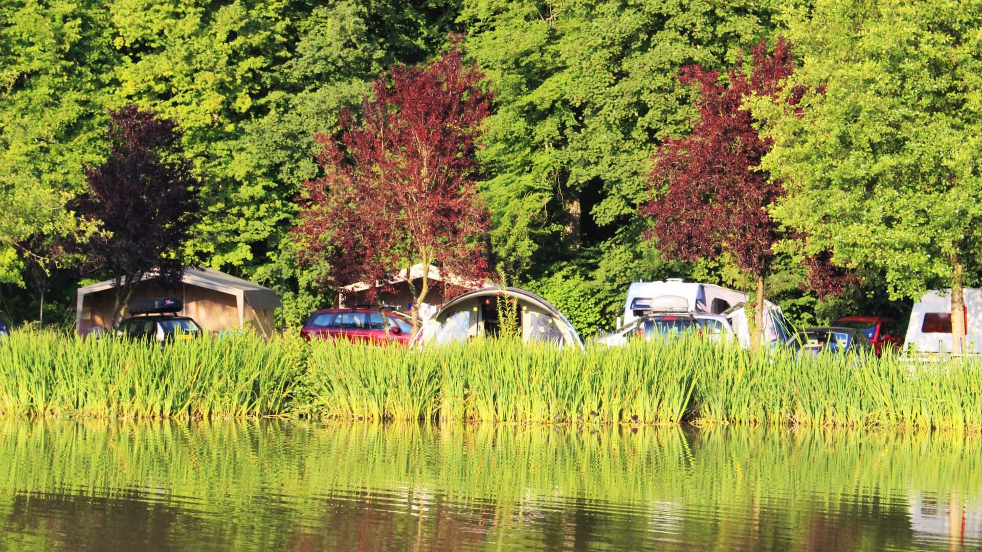 Emplacements en bord de lac