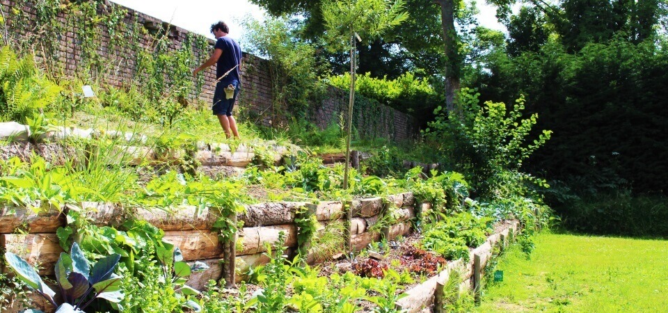 L’écologie au Brévedent L'écologie au Brévedent