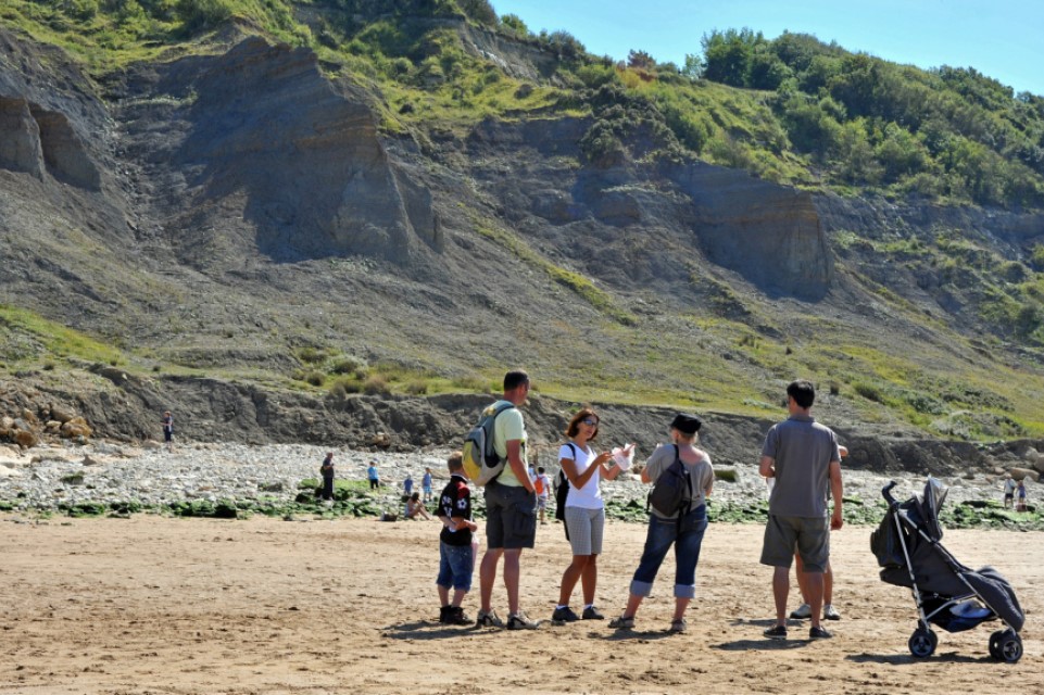 A nature walk by the beach along the "Vaches Noires" cliffs in Normandy, a unique day trip from Castel Camping Le Brévedent in Normandy