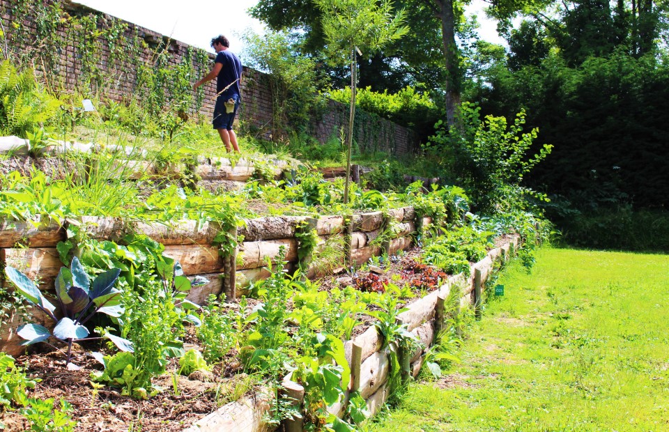 Camping Le Brévedent Calvados – permaculture 5