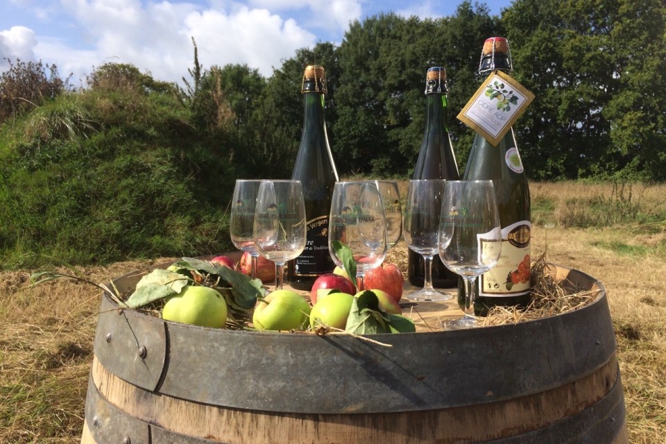 Ciders, fruit juices, jams and other products are available to taste and buy as souvenirs or gifts along the cider route, in Normandy.