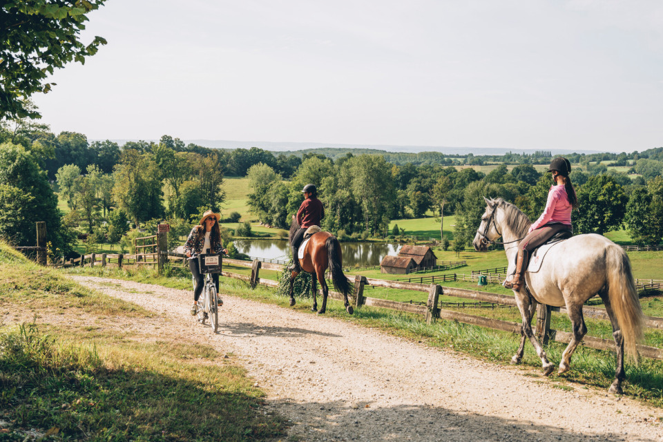 a-velo-et-a-cheval-au-haras-national-du-pin-maxime-coquard-bestjobers Balade à cheval et à vélo au Haras national du Pin, entouré de paysages verdoyants et bucoliques.