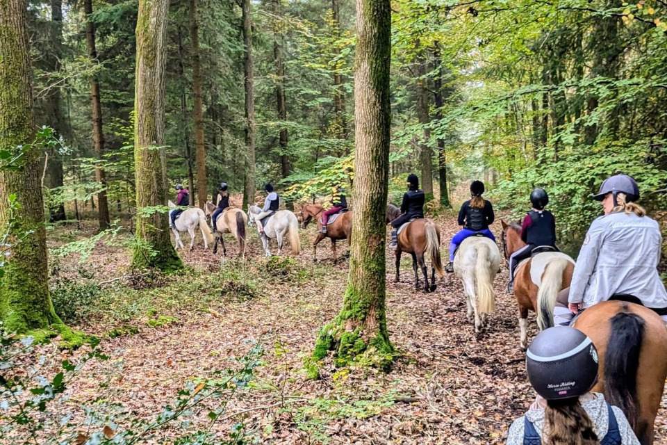 balade-a-cheval-en-foret-normande-le-brevedent Groupe de cavaliers traversant une forêt normande aux couleurs automnales.