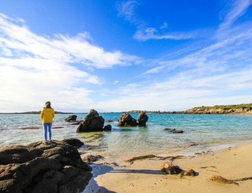 Découverte de la Manche : entre côtes et traditions