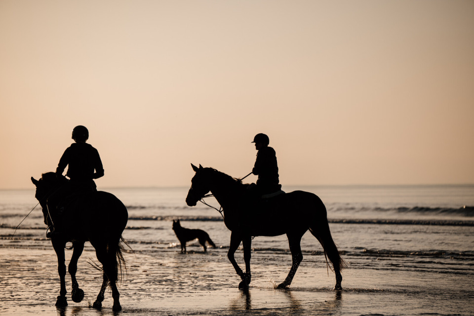 cavaliers-sur-la-plage-de-deauville-en-hiver-marie-anais-thierry Cavaliers sur la plage de Deauville en hiver, silhouettés par le coucher du soleil.