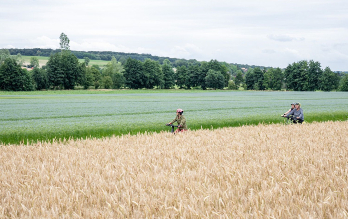 Cyclistes traversant des champs de lin en fleurs en Normandie.