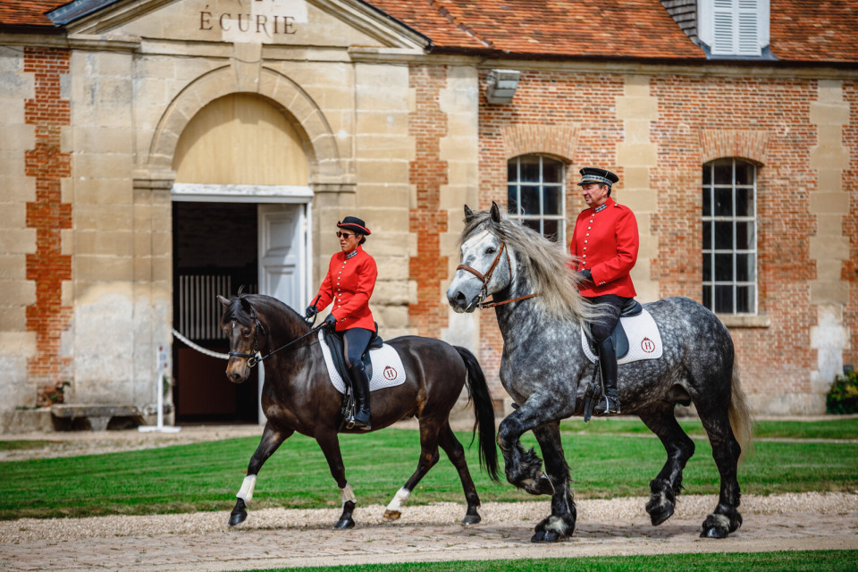 cheval-haras-du-pin-valentin-pacaut Chevaux montés dans la cour du Haras du Pin.