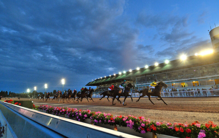 Course de trot sur l'hippodrome de Cabourg au crépuscule.