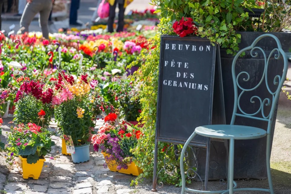 Fête des Géraniums