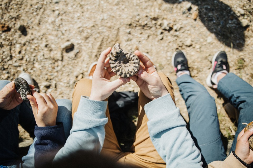 fossiles-falaises-vaches-noires-villers-sur-mer-coraline-et-leo Observation de fossiles aux falaises des Vaches Noires à Villers-sur-Mer.