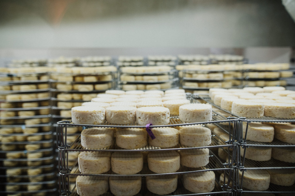 fromagerie-graindorge-coraline-leo Visite de la Fromagerie Graindorge avec des étagères remplies de fromages affinés.