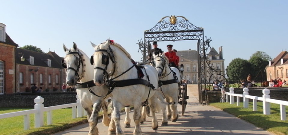 haras du pin
