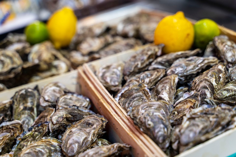 Huîtres fraîches sur un étal de marché avec citrons.