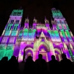 Floraison Sauvage & Illuminations de la Cathédrale