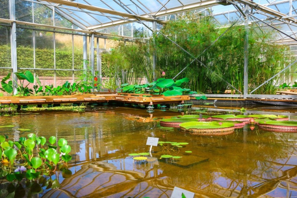 Serre tropicale aux jardins suspendus.