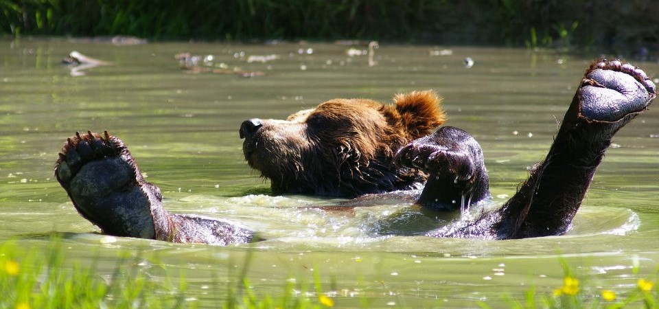 Zoo du Cerza, safari lodge