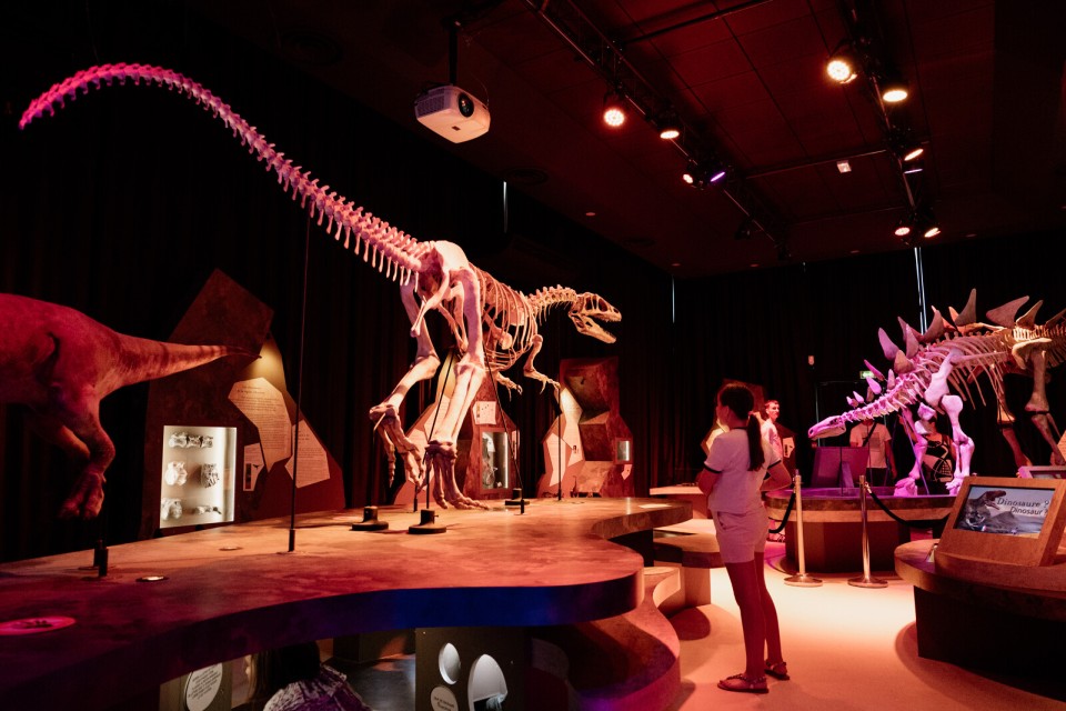 paleospace-dinosaures-villers-sur-mer-marie-anais-thierry-normandie-attractivite Squelettes de dinosaures exposés au Paléospace de Villers-sur-Mer.