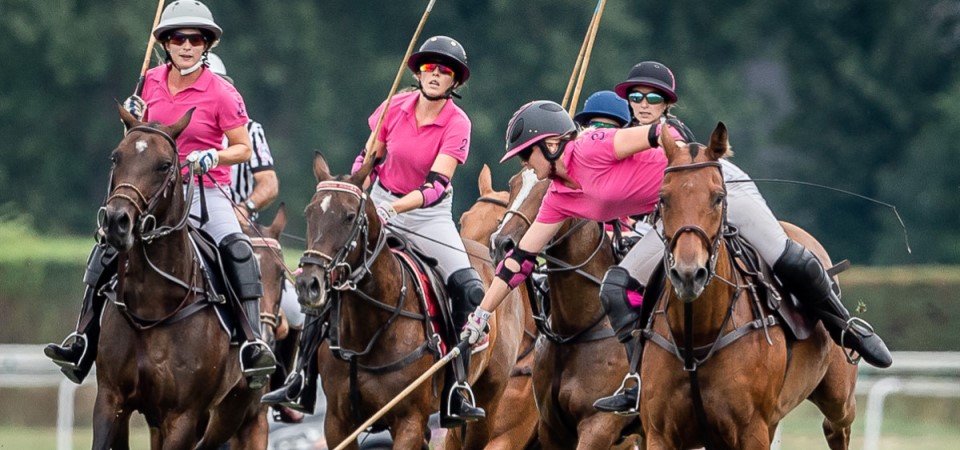 polo cup