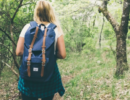 Les plus belles balades à pied près du Camping Le Brévedent