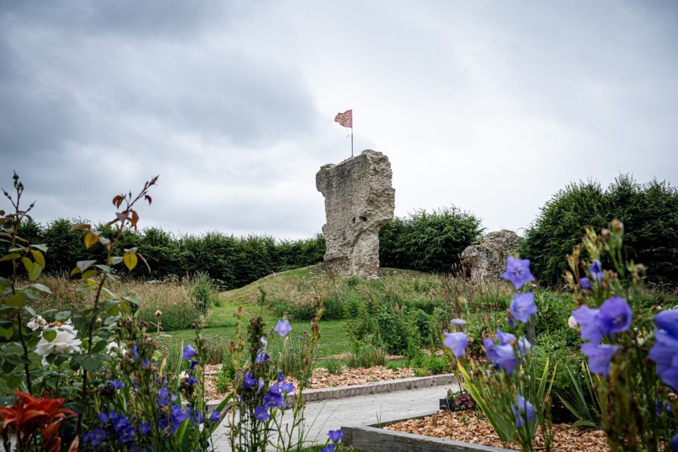 ruine-chateau-blangy-le-chateau-thomas-le-floc-h Ruine du château médiéval de Blangy-le-Château avec fleurs au premier plan.