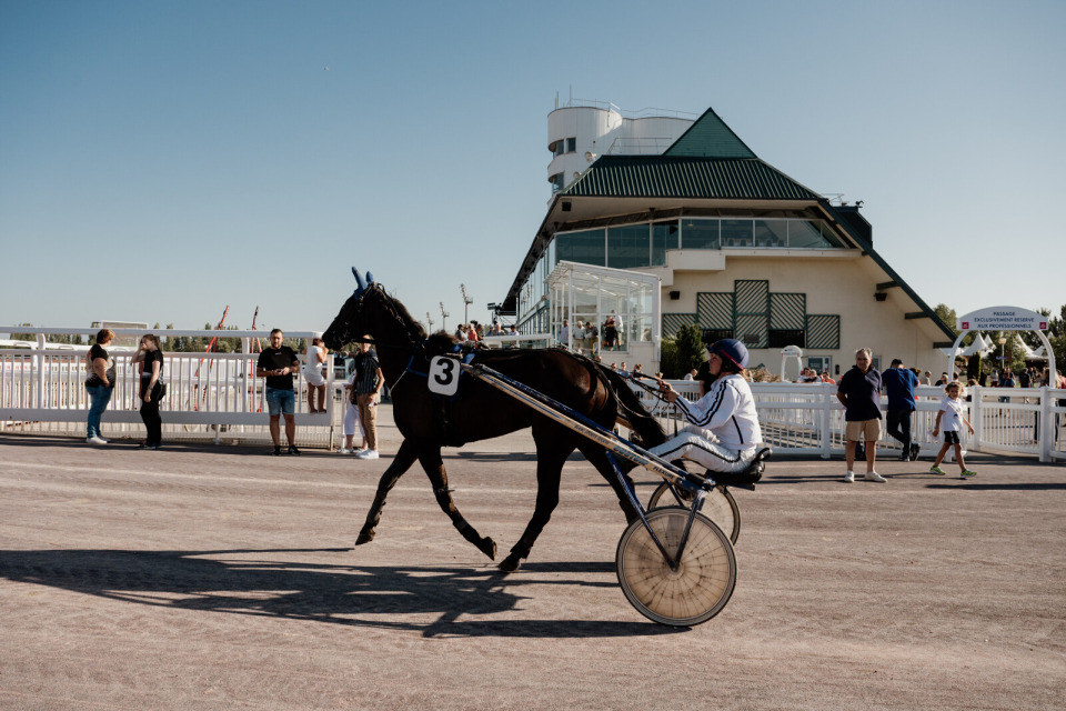 trot-hippodrome-cabourg-marie-anais-thierry Trot attelé avec un cheval en compétition à l'hippodrome de Cabourg.